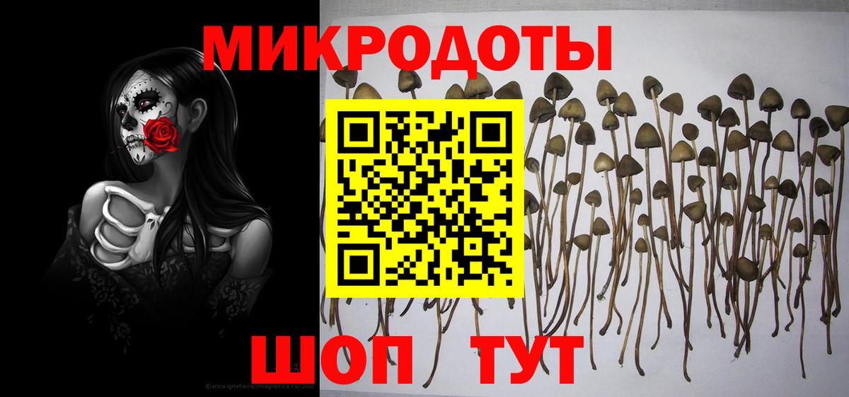 Кыштым  Псилоцибиновые грибы Magic Shrooms  Вход с VPN 
